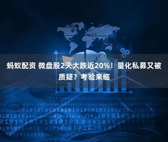 蚂蚁配资 微盘股2天大跌近20%！量化私募又被质疑？考验来临