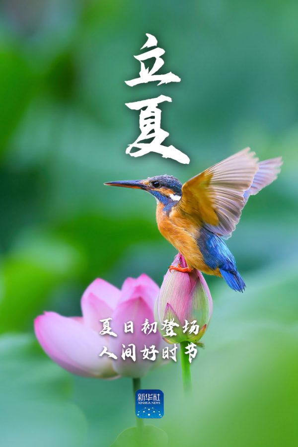 赢金配资 立夏！新的开始，福气满满！