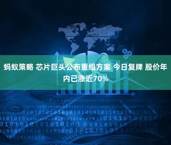 蚂蚁策略 芯片巨头公布重组方案 今日复牌 股价年内已涨近70%
