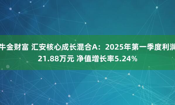 牛金财富 汇安核心成长混合A：2025年第一季度利润21.88万元 净值增长率5.24%